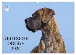 Cover-Bild zum Titel 'Deutsche Dogge 2026 (Wandkalender 2026 DIN A2 quer), CALVENDO Monatskalender' von 'Sigrid Starick'