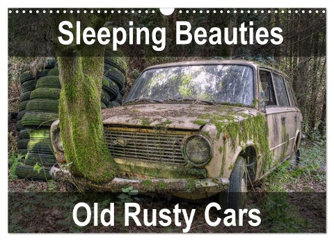 Sleeping Beauties Old Rusty Cars (Wall Calendar 2024 DIN A3 landscape), CALVENDO 12 Month Wall Calendar - Carina Buchspies