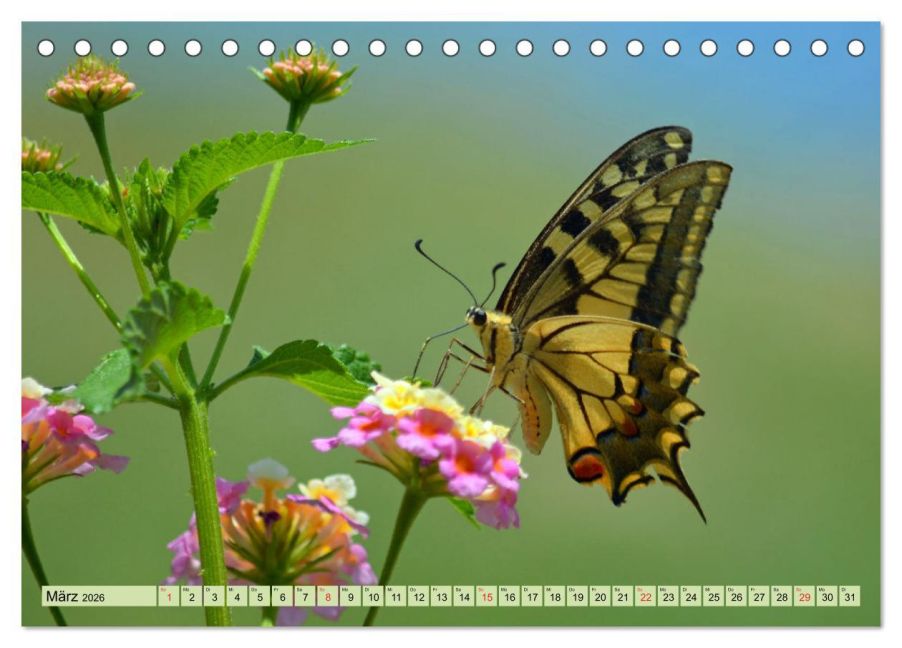 InsideView 8