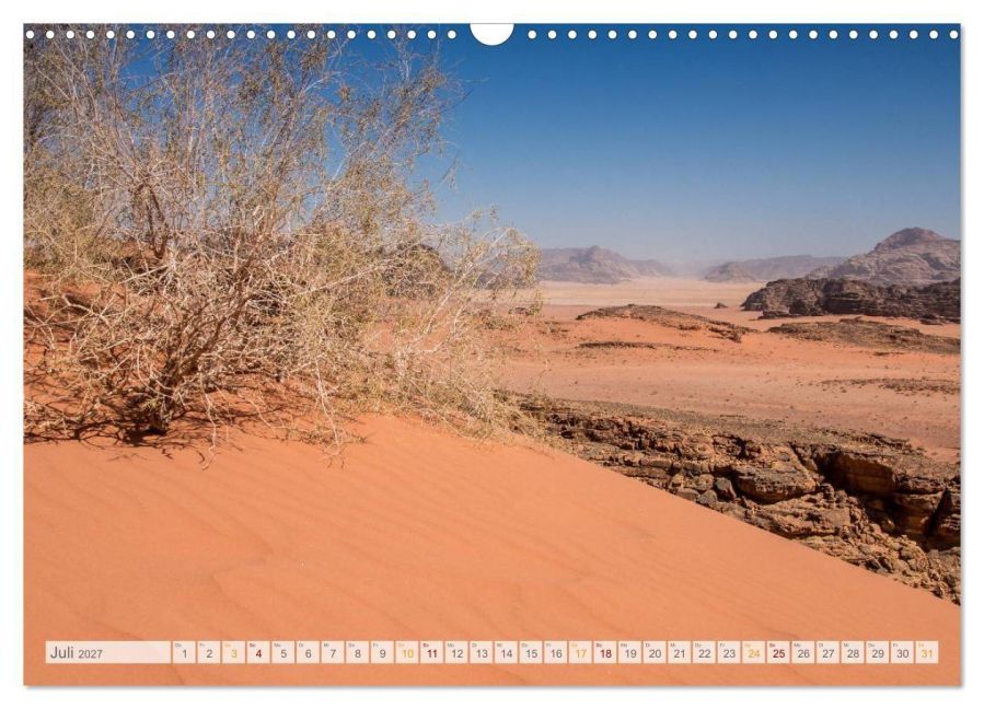 InsideView 12
