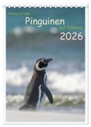 Cover-Bild zum Titel 'Alltag bei den Pinguinen auf Falkland (Tischkalender 2026 DIN A5 hoch), CALVENDO Monatskalender' von 'Heike Kuratli'