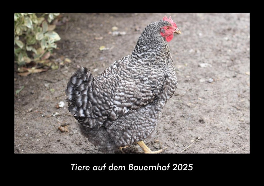 Tiere auf dem Bauernhof 2025 Fotokalender DIN A3 - Tobias Becker