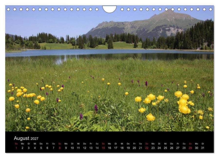InsideView 13