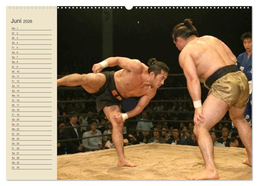 InsideView 11