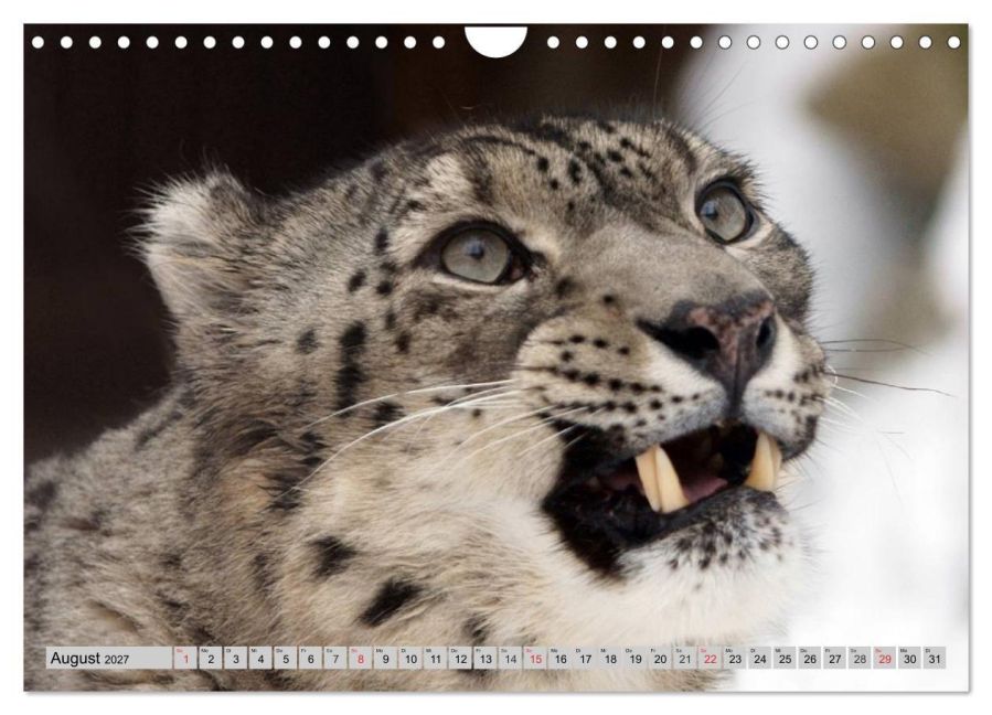 InsideView 13