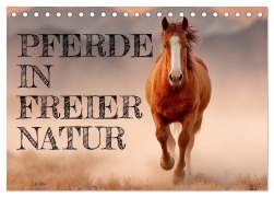 Cover-Bild zum Titel 'Pferde in freier Natur (Tischkalender 2026 DIN A5 quer), CALVENDO Monatskalender' von 'Mb Fotografie'