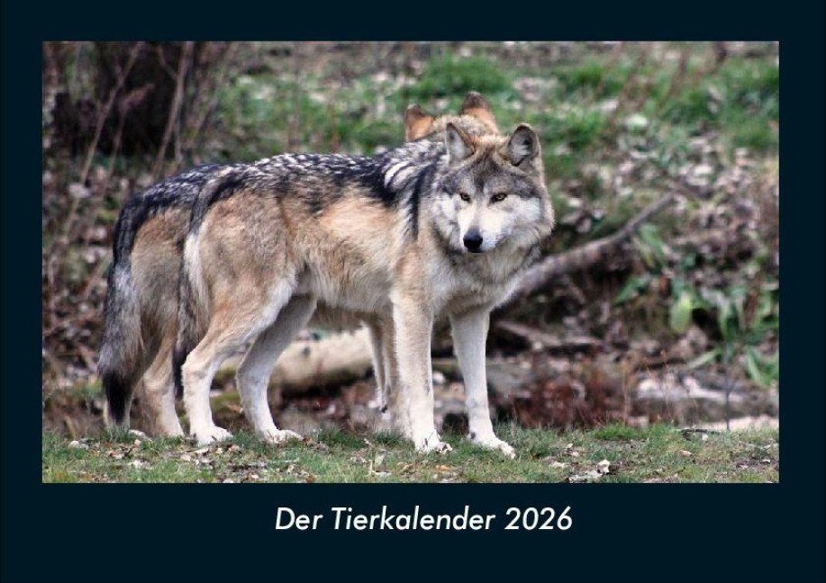 Der Tierkalender 2026 Fotokalender DIN A4 - Tobias Becker