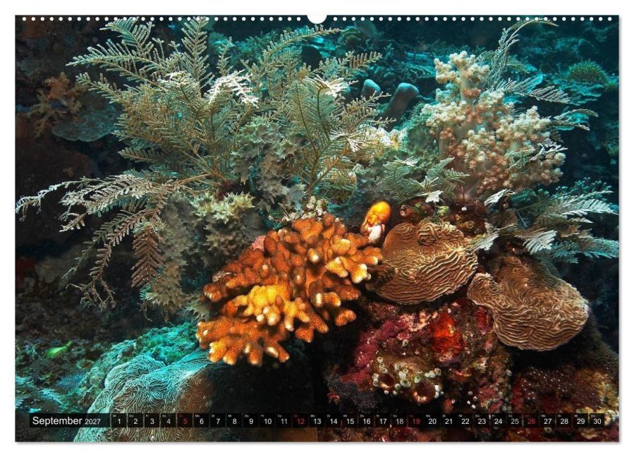 InsideView 13