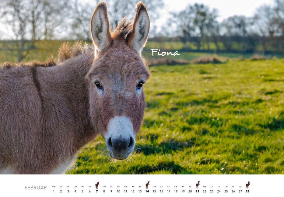 InsideView 13