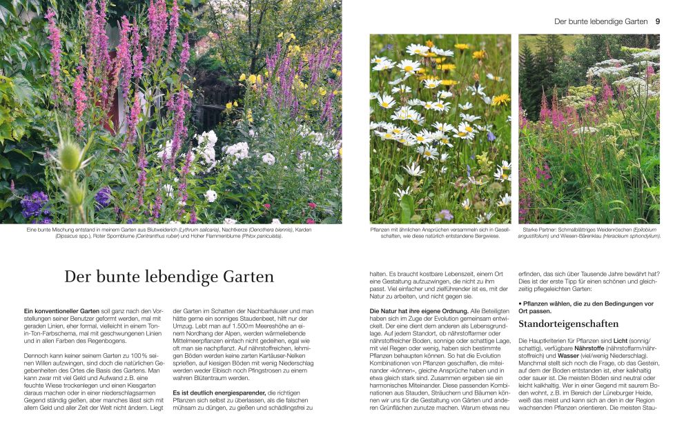 InsideView 2