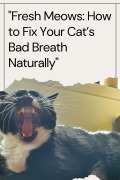 Cover-Bild zum Titel 'Fresh Meows: How to Fix Your Cat's Bad Breath Naturally' von 'Ink by Essakhi'