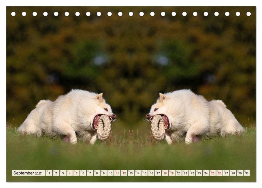 InsideView 14