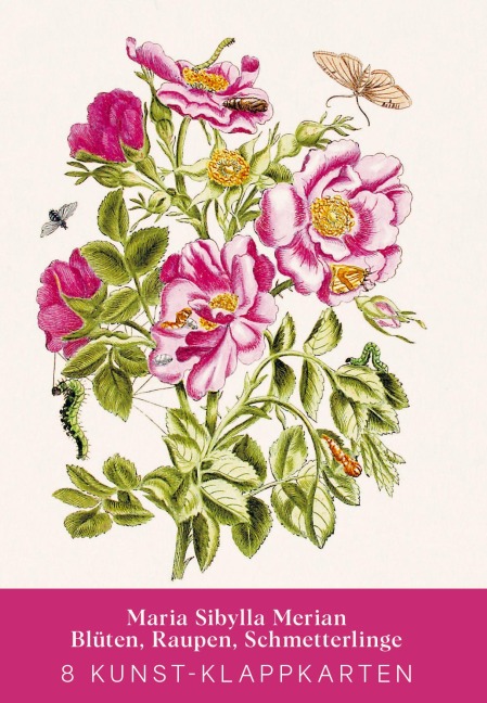 Maria Sibylla Merian - Acht Kunst-Klappkarten - 