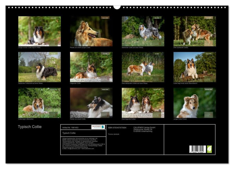 InsideView 5