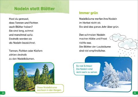 InsideView 4