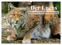 Der Luchs. Pinselohren und Bernsteinaugen (Wandkalender 2025 DIN A2 quer), CALVENDO Monatskalender - Elisabeth Stanzer