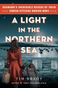 Cover-Bild zum Titel 'A Light in the Northern Sea' von 'Tim Brady'