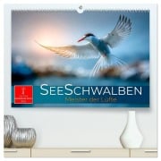 Cover-Bild zum Titel 'Seeschwalben - Meister der Lüfte (hochwertiger Premium Wandkalender 2026 DIN A2 quer), Kunstdruck in Hochglanz' von 'Roder Roder'