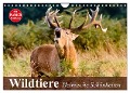 Wildtiere. Heimische Schönheiten (Wandkalender 2025 DIN A4 quer), CALVENDO Monatskalender - Elisabeth Stanzer