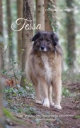 Cover-Bild zum Titel 'Tessa' von 'Christiane Engler- Wiest'