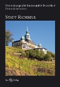 Cover-Bild zum Titel 'Denkmaltopographie Bundesrepublik Deutschland. Denkmale in Sachsen. Stadt Radebeul' von ''