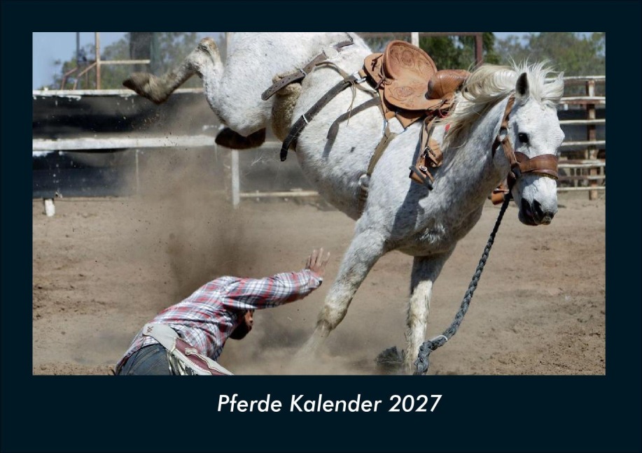 Pferde Kalender 2027 Fotokalender DIN A4 - Tobias Schmitt, Kevin Heber