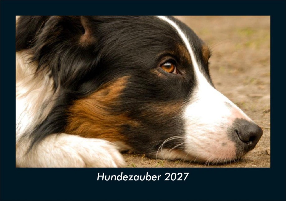Hundezauber 2027 Fotokalender DIN A5 - Tobias Schmitt, Kevin Heber