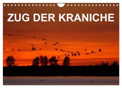 Cover-Bild zum Titel 'Zug der Kraniche (Wandkalender 2026 DIN A4 quer), CALVENDO Monatskalender' von 'Bia Birdimagency'
