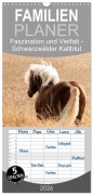 Cover-Bild zum Titel 'Familienplaner 2026 - Faszination und Vielfalt - Schwarzwälder Kaltblut mit 5 Spalten (Wandkalender, 21 x 45 cm) CALVENDO' von 'Simone Homberg'
