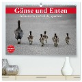 Gänse und Enten. Schnattern, watscheln, quaken! (hochwertiger Premium Wandkalender 2025 DIN A2 quer), Kunstdruck in Hochglanz - Elisabeth Stanzer