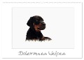 Dobermann Welpen (Wandkalender 2024 DIN A2 quer), CALVENDO Monatskalender - Nh-Pawpixx. Com Nicole Hahn
