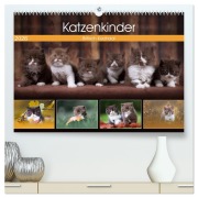 Cover-Bild zum Titel 'Katzenkinder - Britisch Kurzhaar (hochwertiger Premium Wandkalender 2026 DIN A2 quer), Kunstdruck in Hochglanz' von 'Wabi Sabi Fotografie by Janina Bürger'