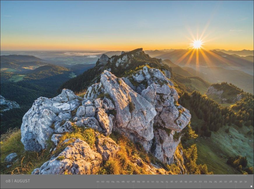 InsideView 8