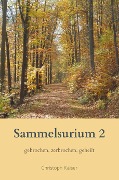 Cover-Bild zum Titel 'Sammelsurium 2' von 'Christoph Kaiser'