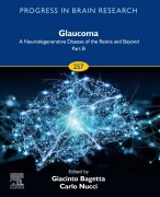 Cover-Bild zum Titel 'Glaucoma: A Neurodegenerative Disease of the Retina and Beyond Part B' von ''