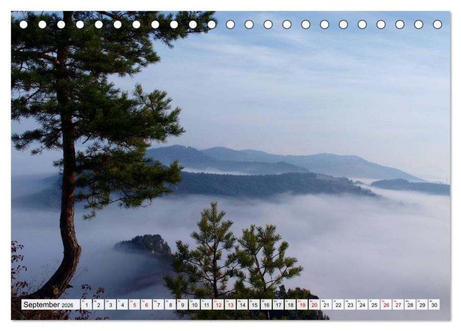 InsideView 14