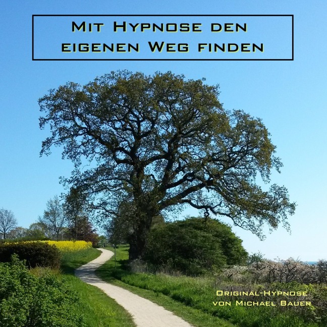 Mit Hypnose den eigenen Weg finden - Michael Bauer