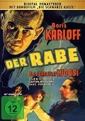 Cover-Bild zum Titel 'Der Rabe' von 'Edgar Allan Poe, David Boehm, Guy Endore, Florence Enright, John Lynch'