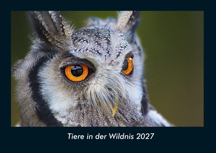 Tiere in der Wildnis 2027 Fotokalender DIN A4 - Tobias Schmitt, Kevin Heber