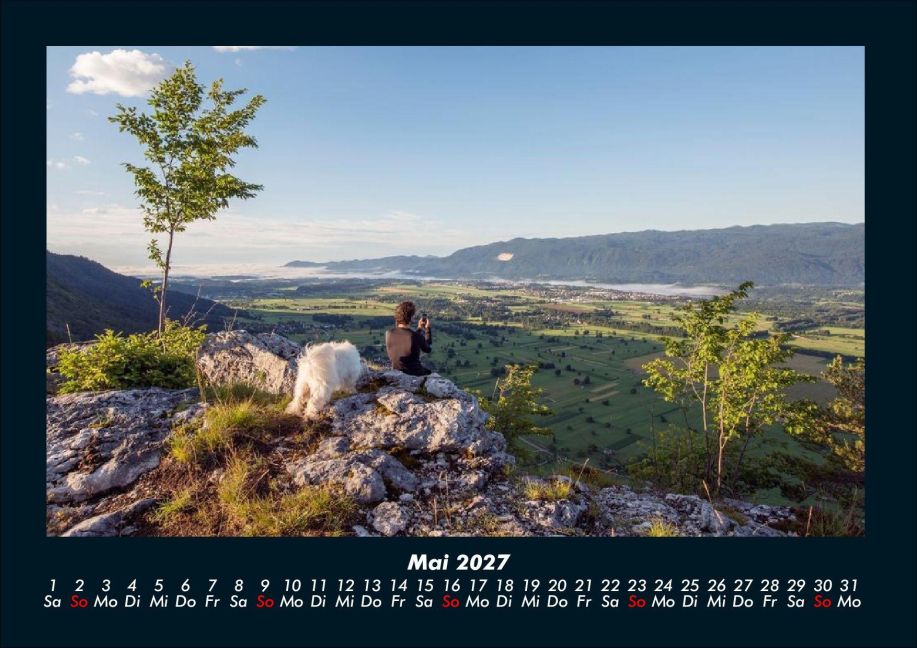 InsideView 9