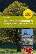 Cover-Bild zum Titel 'Bäume bestimmen - Knospen, Blüten, Blätter, Früchte' von 'Rita Lüder'