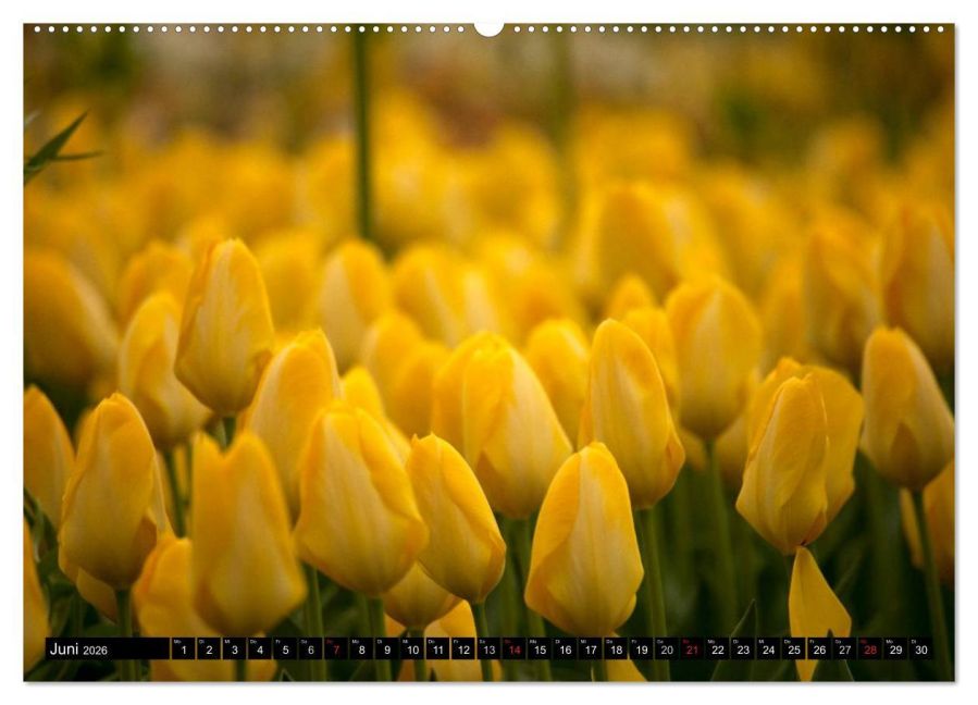 InsideView 11