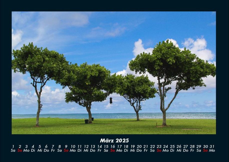 InsideView 7
