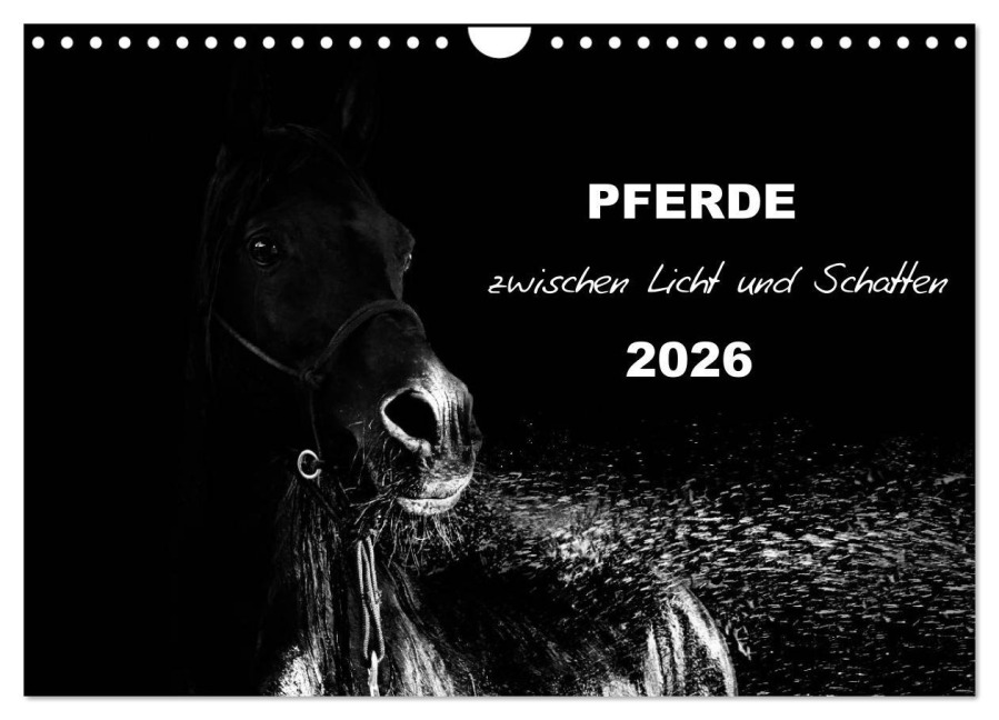 Pferde zwischen Licht und Schatten (Wandkalender 2026 DIN A4 quer), CALVENDO Monatskalender - Sabine Peters Artwork & Photographie