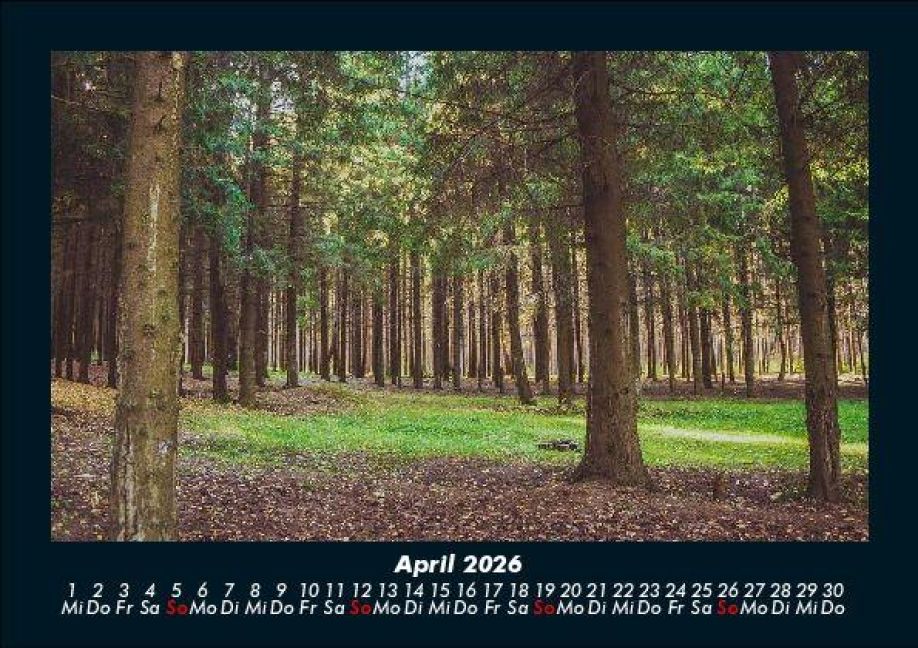 InsideView 8