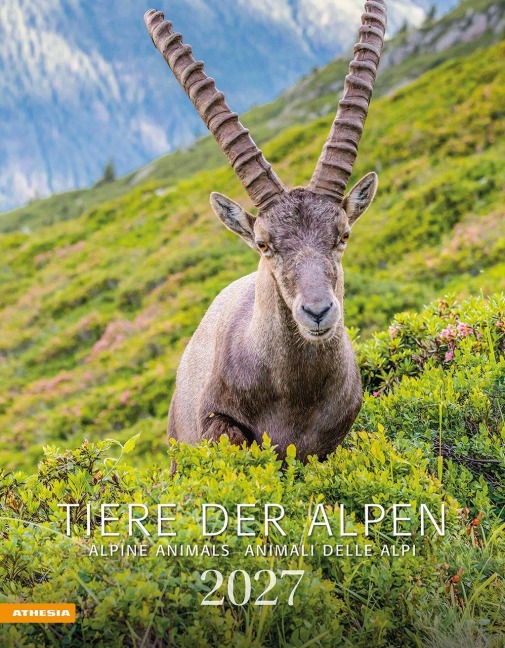 Tiere der Alpen - Kalender 2027 - 