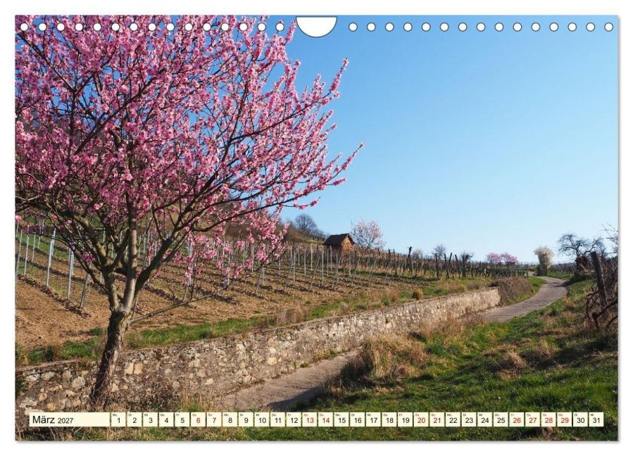 InsideView 8