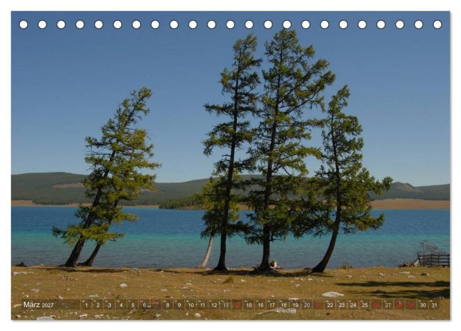 InsideView 8