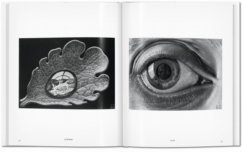 InsideView 6