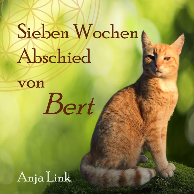 Sieben Wochen Abschied von Bert - Anja Link